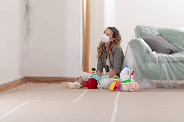 Reliable Mold Remediation contractor in State College, PA by WQB Mold Removal